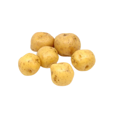 Papa criolla