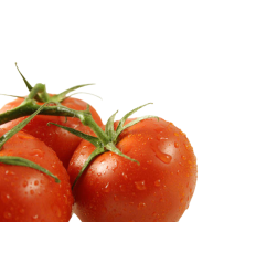 Tomate de aliño grueso