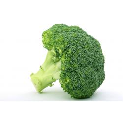 Brocoli